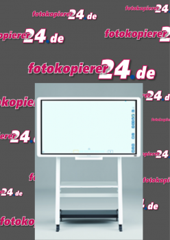 Ricoh Interactive Whiteboard D5510 - gebraucht
